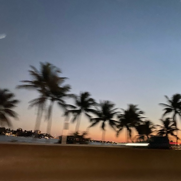 Meet your Posher, Liv - Picture 4 of 12